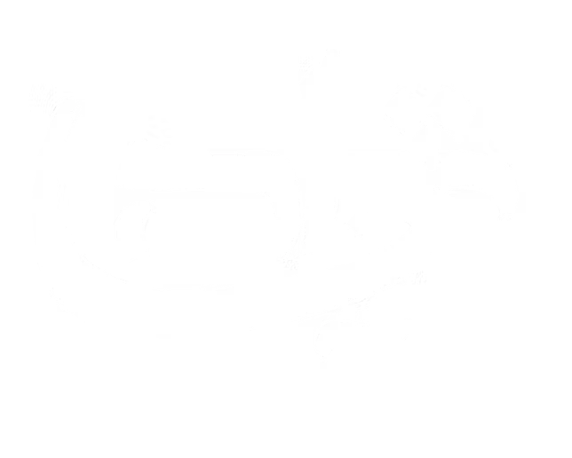 תמונת פרויקט